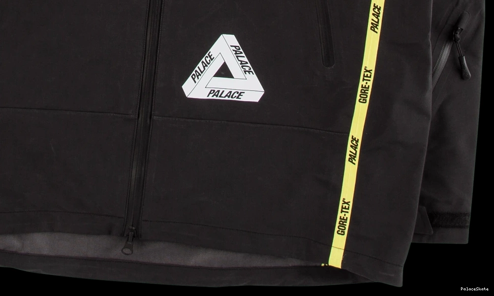 Palace Jacket Gore-Tex Palex 0817